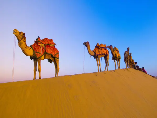 Desert forts and palaces of Rajasthan