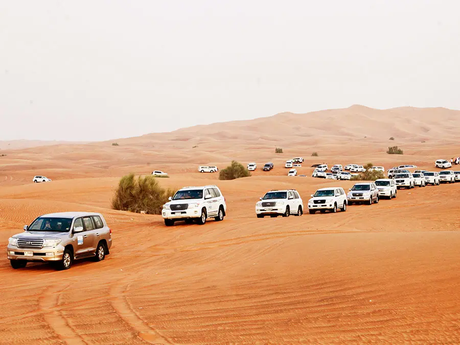 Dubai Desert Safari
